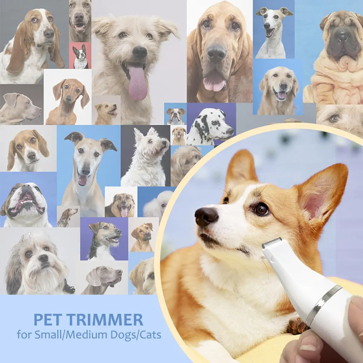 Dog&Cat lippers Grooming Kit Hair Clipper Low Noise Paw Trimmer Rechargeable Cordless Quiet Nail Grinder Shaver For Pets PawsnHeart