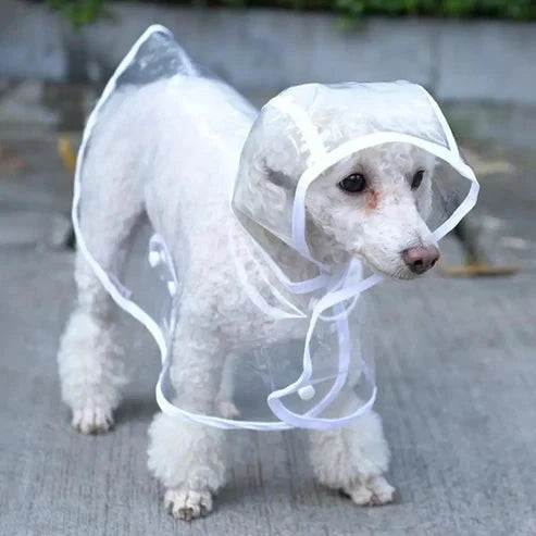 RainyWoof™ PawsnHeart