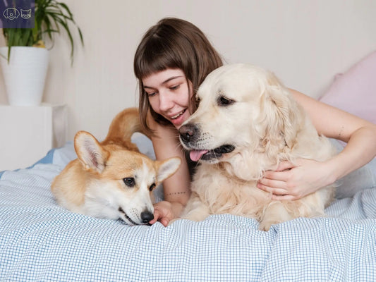 Preventive care every pet owner should know