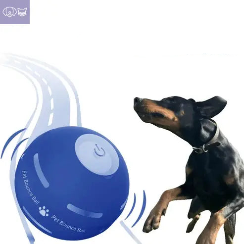 ✨2025 ✨New release - Pet Bounce Ball PawsMagics