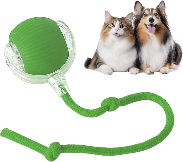 ChewLoon™ PawsMagics