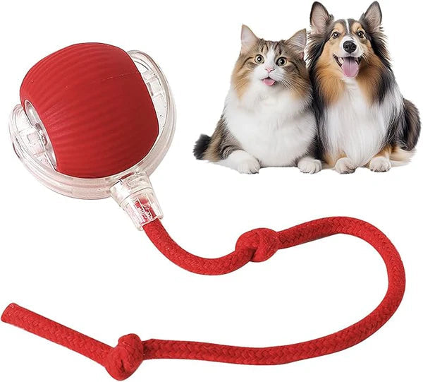 ChewLoon™ PawsMagics