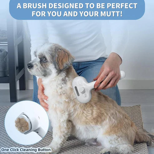 🔥Pet Spray Hair Removal Comb PawsMagics
