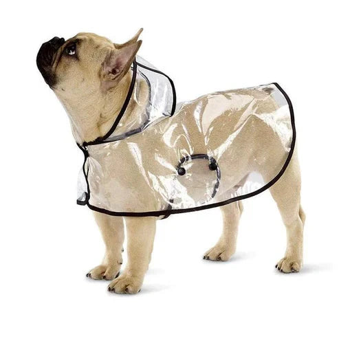 RainyWoof™ PawsnHeart