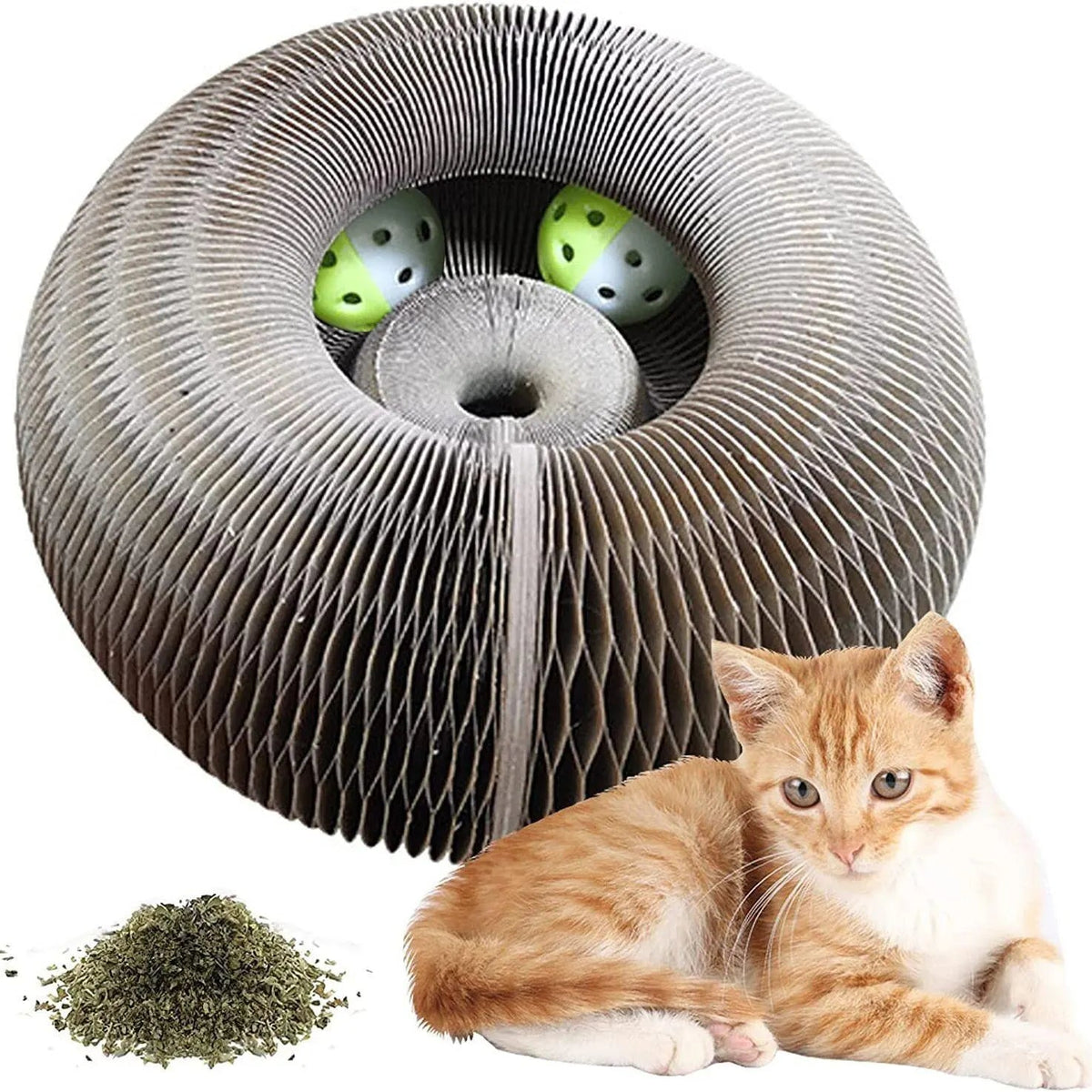 Magic Cat Scratch Organ Board Cat Toy – Fun Ball &amp; Corrugated Claw Climbing Frame PawsnHeart
