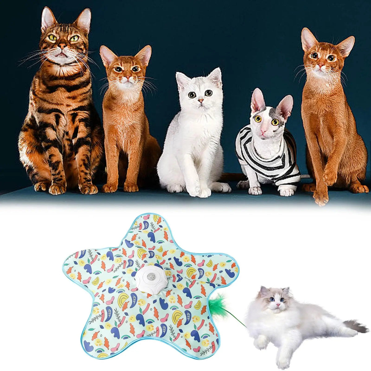 Smart Hide and Seek Cat Toy Electric Thermal Sensing Cat Catch Cover Real Mouse Squeaky Touch Activated Feather Teaser Wand PawsnHeart