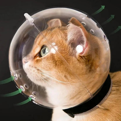 Transparent Breathable Cat Bubble Muzzle & Face Cover - for Bathing, Nail Trimming, Shedding, Bite Prevention, Behavior Training PawsnHeart