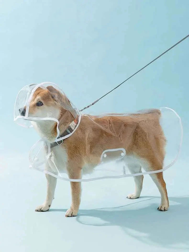 Dogs going out, transparent waterproof raincoat with hat pet raincoat PawsnHeart
