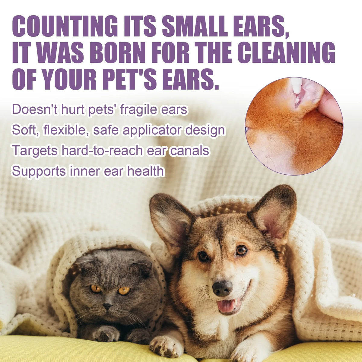 ClearEar Remedy Infection Treatment for Dogs & Cats
