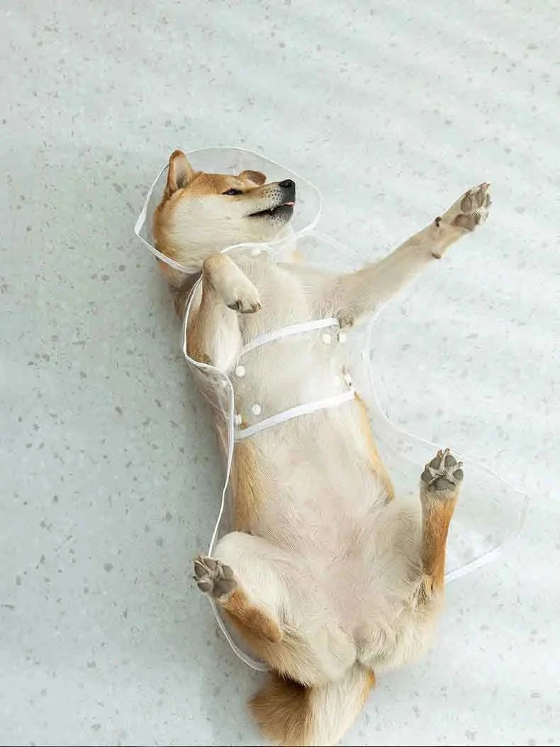 Dogs going out, transparent waterproof raincoat with hat pet raincoat PawsnHeart