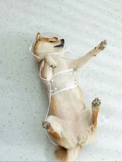 Dogs going out, transparent waterproof raincoat with hat pet raincoat PawsnHeart