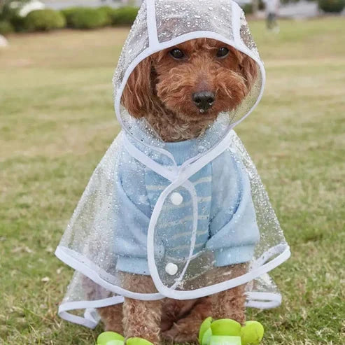 RainyWoof™ PawsnHeart